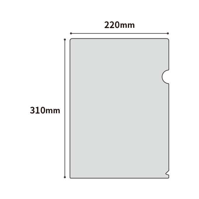 【データ入稿】A4オリジナルクリアファイル（オフセット印刷）